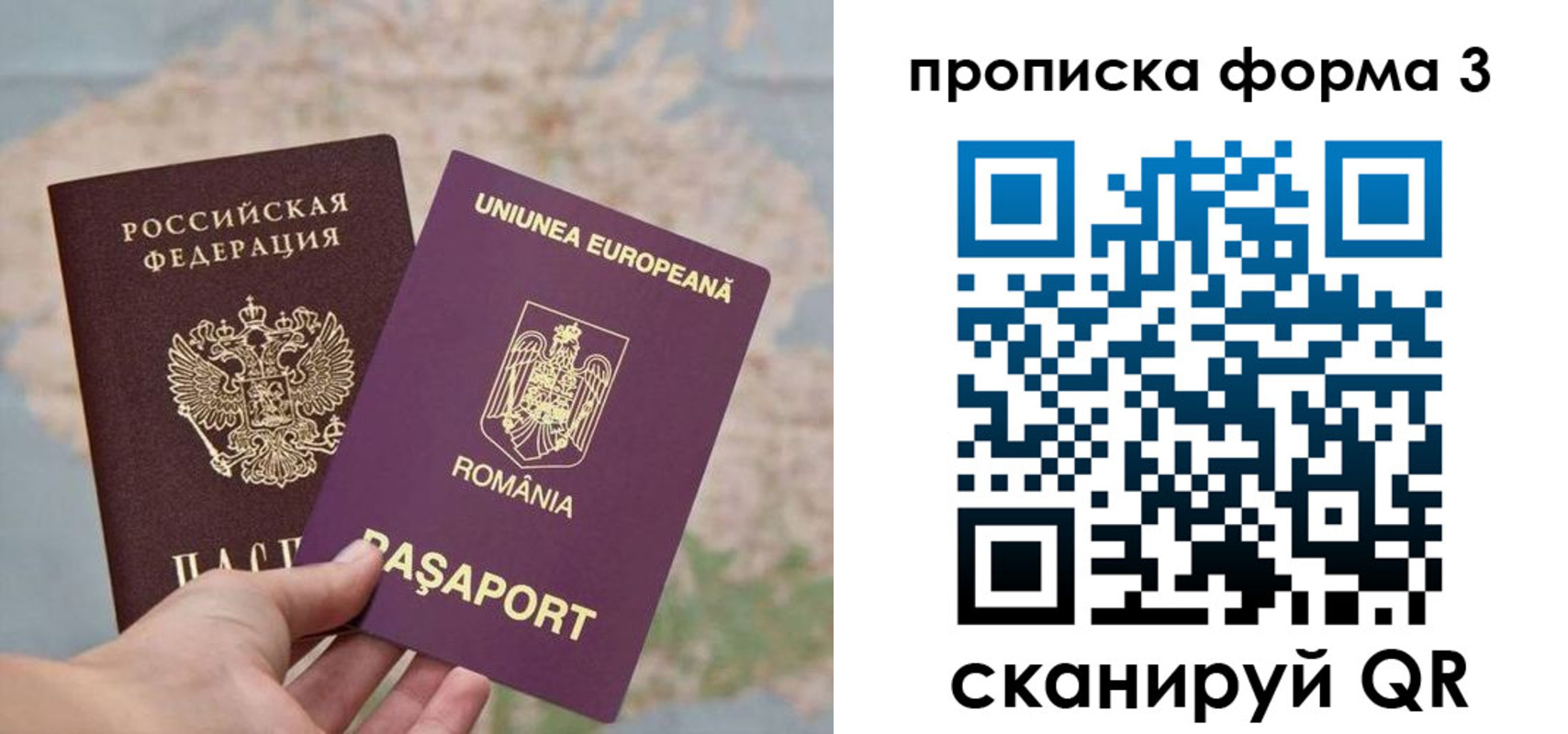 временная регистрация недорого в Рыбном